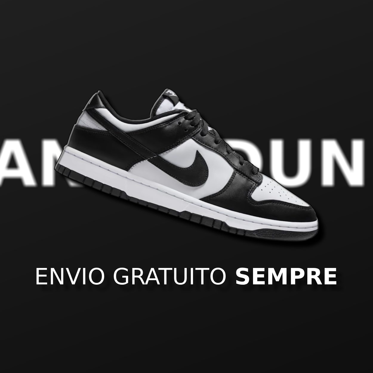 Nike Panda Dunk - Envio Gratuito