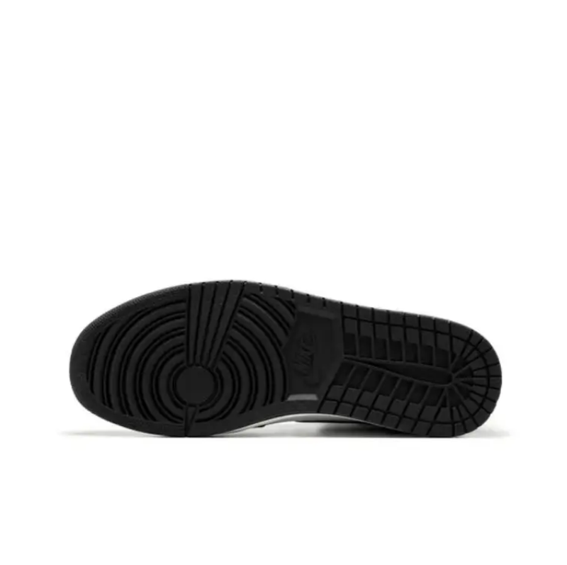 Air Jordan 1 Retro High Twist